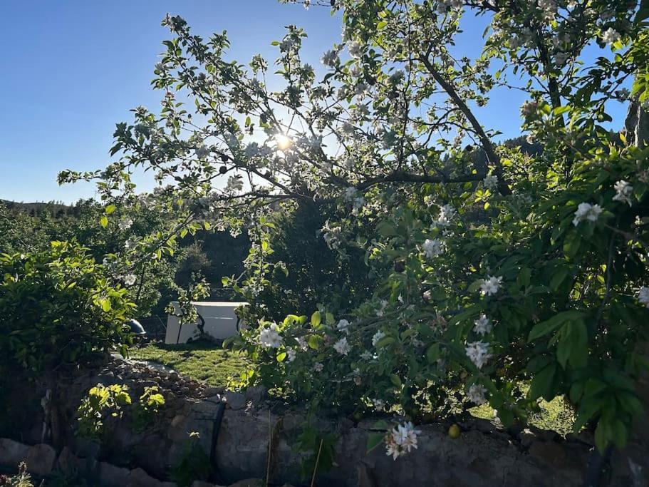 Lilly'S Finca - Romantischter Rueckzugsort - Pool 维拉弗洛尔 外观 照片