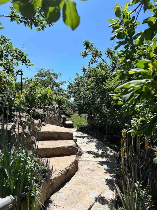Lilly'S Finca - Romantischter Rueckzugsort - Pool 维拉弗洛尔 外观 照片