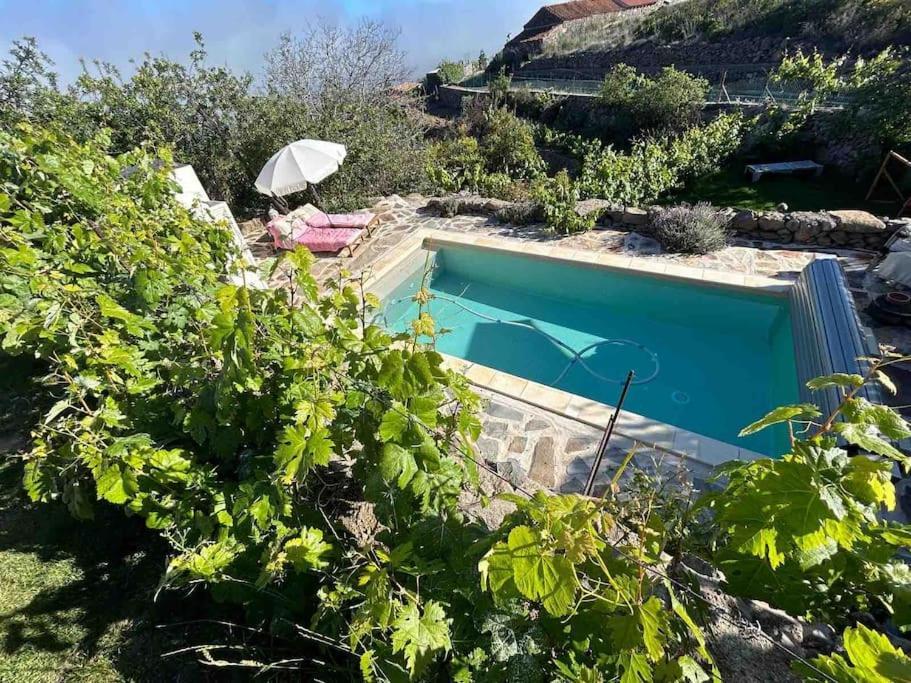 Lilly'S Finca - Romantischter Rueckzugsort - Pool 维拉弗洛尔 外观 照片