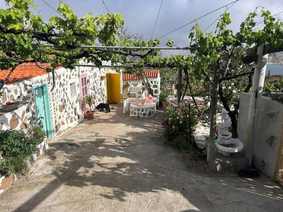 Lilly'S Finca - Romantischter Rueckzugsort - Pool 维拉弗洛尔 外观 照片