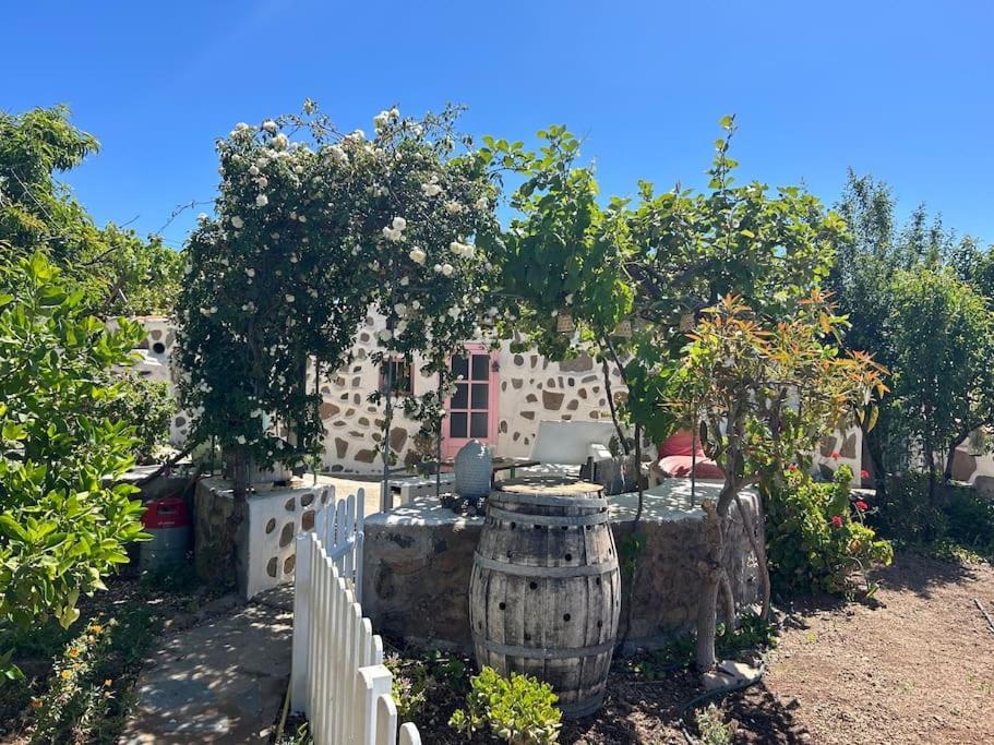 Lilly'S Finca - Romantischter Rueckzugsort - Pool 维拉弗洛尔 外观 照片